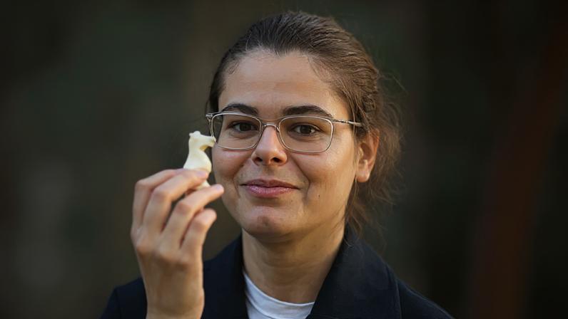 Filipa Pipiras, a primeira Grande Mestre Feminina portuguesa de xadrez