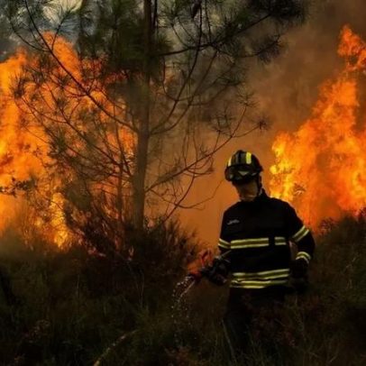 Incêndio em zona de mato mobiliza mais de 100 operacionais em Tondela