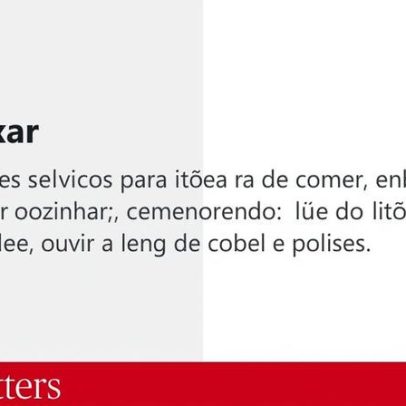 Da flor ao peito, uma jornada entre artes e ouriçadas