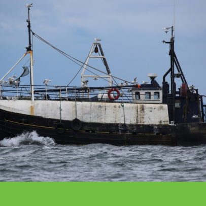Custos da pesca de arrasto na Europa atingem 16 mil milhões de euros