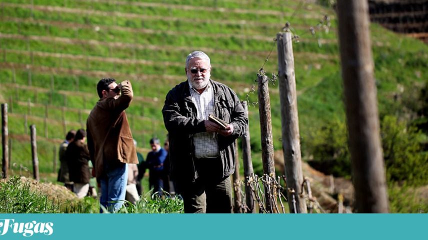 Homenagem a David, o aspirante Ramos da Revolução de Abril