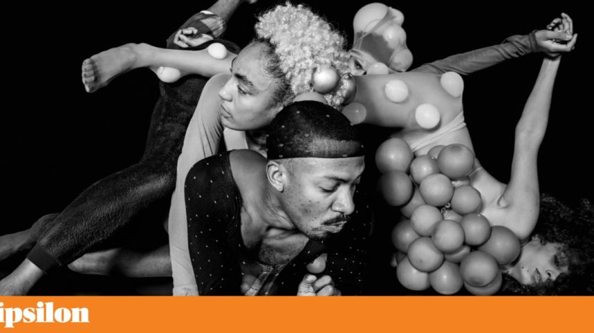 Alice Ripoll e Cia. Afrontosas revelam 'ancestars', metamorfose por realizar