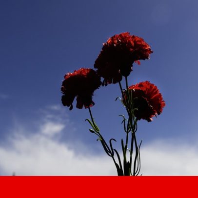 25 de Abril nas câmaras: festa à esquerda, protocolo à direita