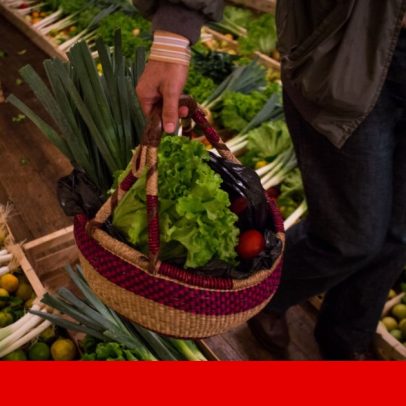 PS avança recomendações para IVA zero em alimentos ou redução do IVA do gás
