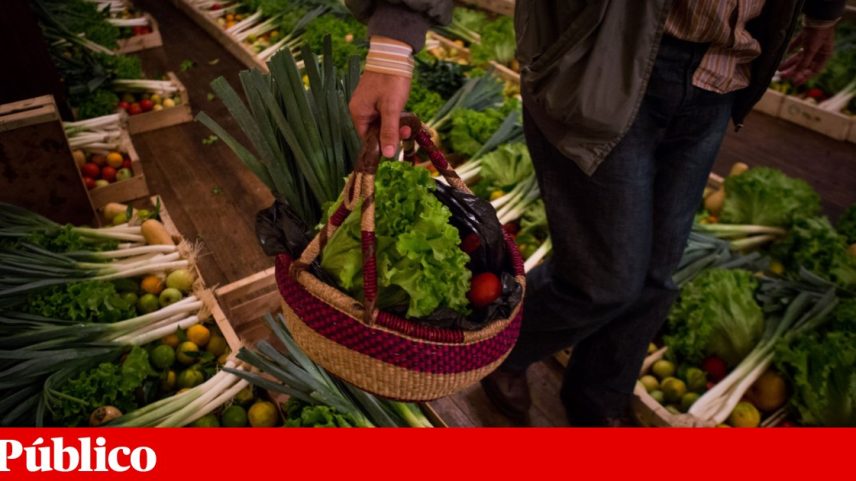 PS insiste no IVA zero no cabaz alimentar, apesar da resistência do Governo