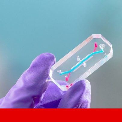 Ida à Lua: radiação, pulseiras e o corpo humano