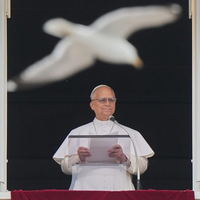 Papa agradece às Canárias por acolher navio de cruzeiro com hantavírus