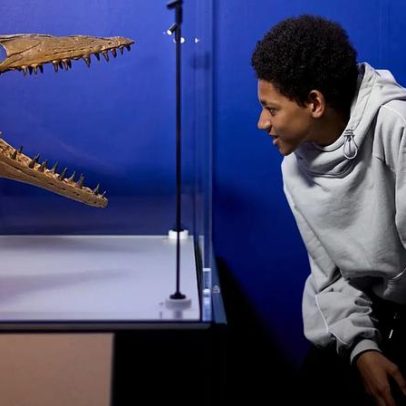 Exposição no Museu de História Natural Londres revela predadores pré-históricos