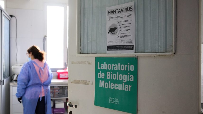 Cientistas aceleram desenvolvimento de vacina contra nova estirpe de hantavírus
