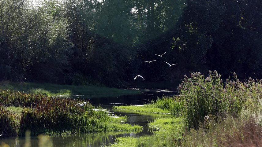 Crianças encontradas à beira da estrada