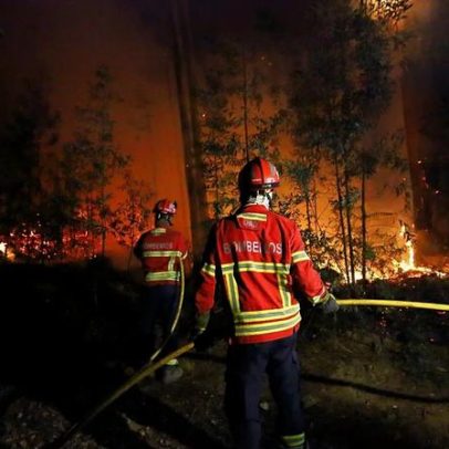 Tempestades criaram terreno fértil para fogos; Portugal enfrenta verão difícil