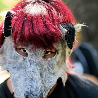 Ordem dos Médicos Veterinários recusa tratar quem se identifica com animais