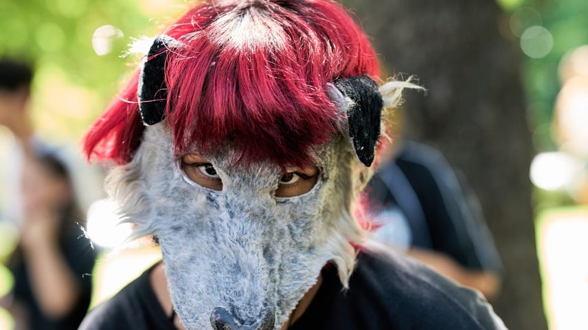 Ordem dos Médicos Veterinários recusa tratar quem se identifica com animais