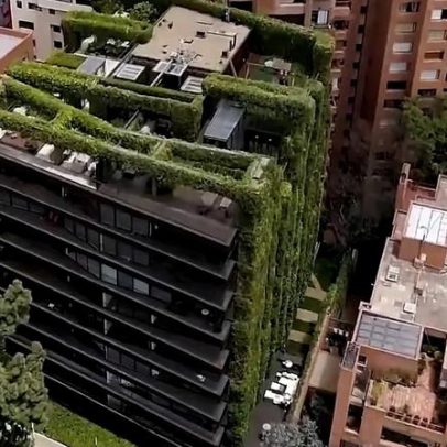 Jardins verticais ajudam a refrescar cidades de forma prática e estética