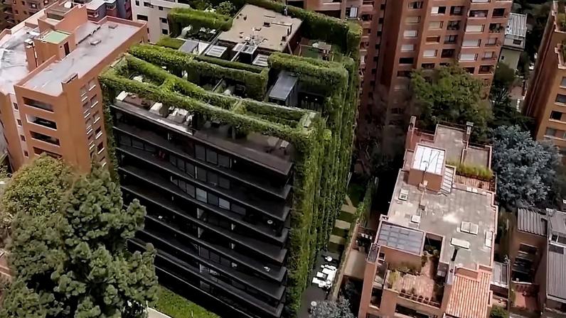 Jardim vertical numa parede de edifício