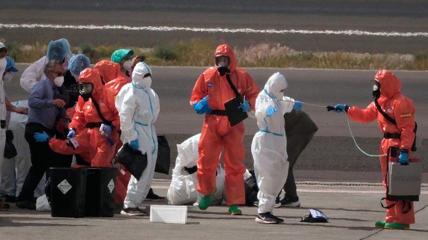 Holanda: 12 profissionais de saúde em quarentena após erro com doente hantavírus