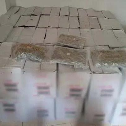Grécia apreende meia tonelada de cannabis em bruto vinda de Espanha