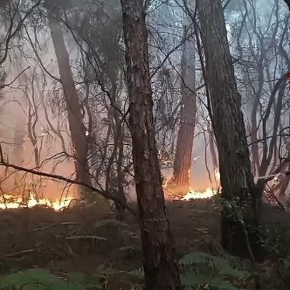 Incêndio em Itália já queima 800 hectares e desalojou 3.000 pessoas