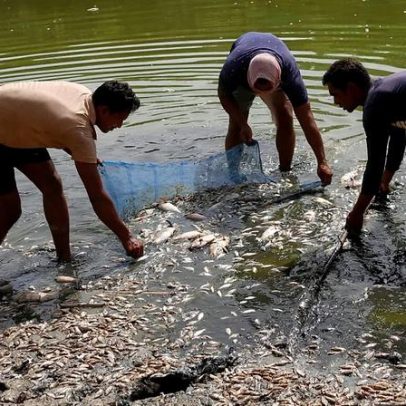 Índia enfrenta calor extremo; peixes mortos chegam à costa de Nova Deli