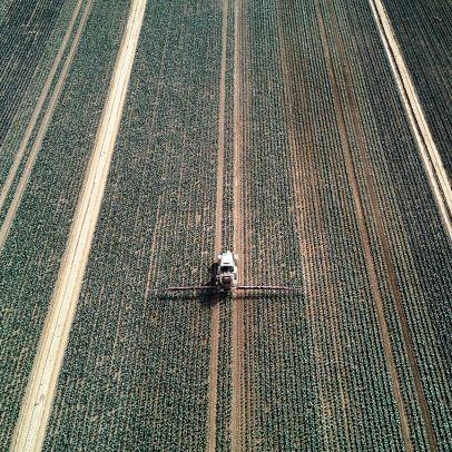 UE pondera usar receitas do imposto sobre carbono para subsídios agrícolas