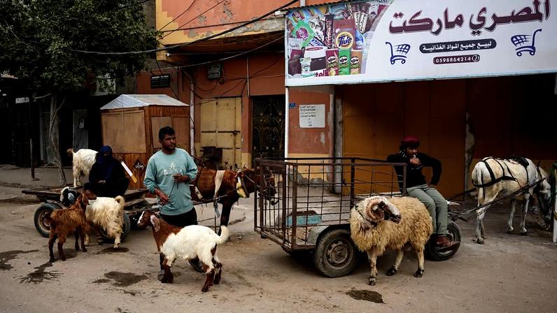 Gaza: deslocados vivem Eid al-Adha sombrio com guerra e preços elevados
