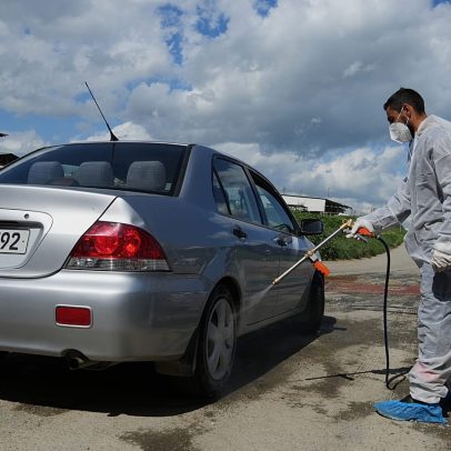 Chipre em alerta após caso de febre aftosa; vírus não se transmitiu por si só