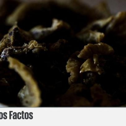 Gordura saturada não faz bem à saúde, nem torresmos da moda