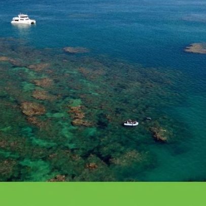 Recifes de Abrolhos perdem 15% da cobertura de corais em 18 anos