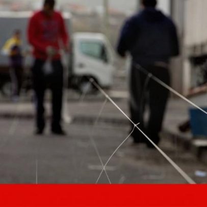 Tubarão espancado até à morte nos Açores: ONG denuncia ao Ministério Público