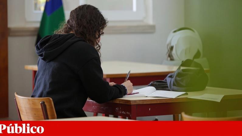 Investigadores propõem o desenvolvimento de recursos de formação profissional para educadores do ensino básico e secundário