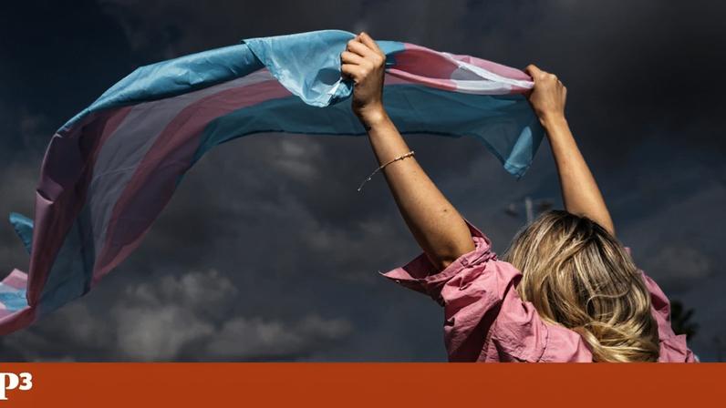 Megafone P3: "Debateram-nos na televisão. Revogaram-nos no Parlamento. Fecharam-nos a porta das audições. E nós continuámos a existir."