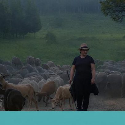 Transumância ressurge no Centro e identidade pastoral corre risco