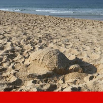Agência do Ambiente investe em obras de estabilização de arriba na praia de Mafra