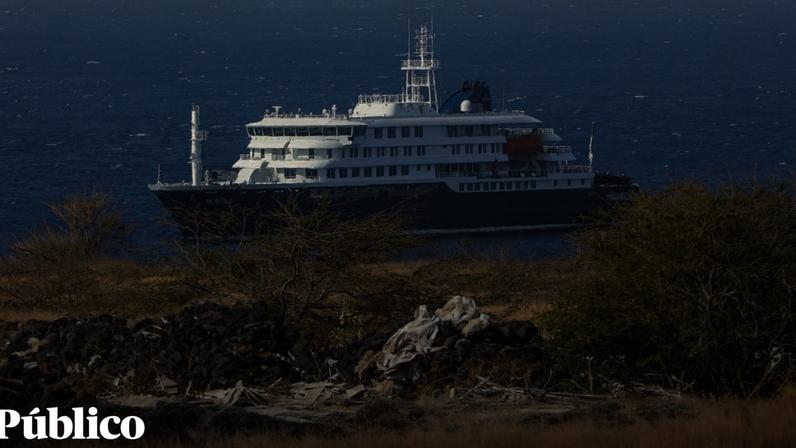 Casos de hantavírus em cruzeiro sobem para sete, diz a OMS