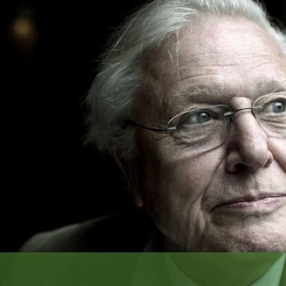 David Attenborough celebra 100 anos como voz do mundo natural