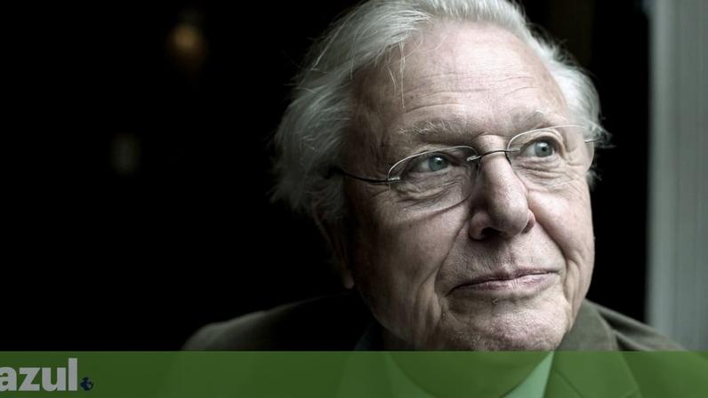O naturalista britânico David Attenborough influenciou gerações de investigadores e ambientalistas em Portugal