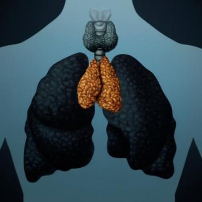 O órgão mais misterioso do corpo pode influenciar câncer e longevidade