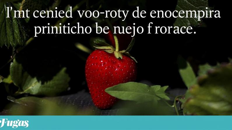 “Não comer morangos é pior do que enfrentar a verdade sobre os morangos.”