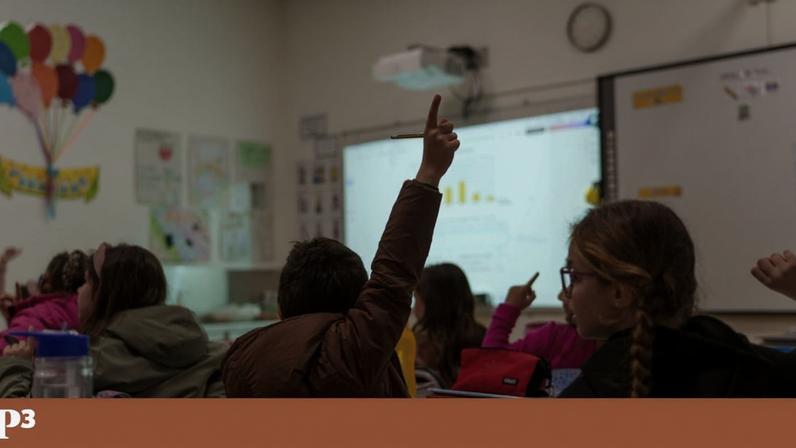 Megafone P3: "Quando se impede um professor de criar raízes, dificilmente se pode exigir excelência constante"