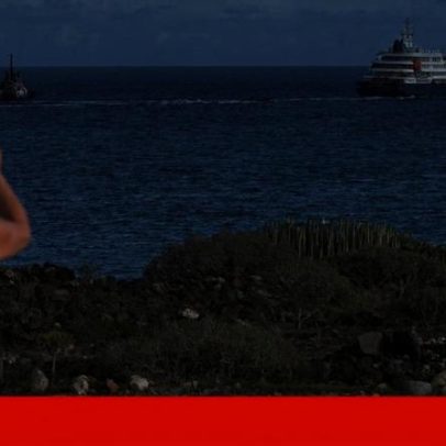 DGS publica normas para casos suspeitos de hantavírus e risco em Portugal é muito baixo