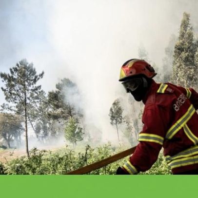 Investigadores alertam para incêndios florestais sem precedentes em 2026
