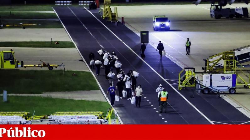 DGS orienta casos suspeitos de hantavírus e descarta medidas preventivas