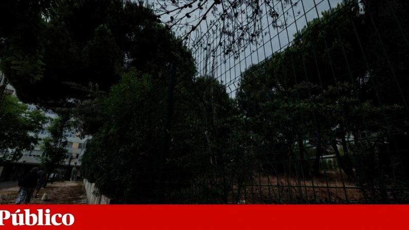 Associação pede providência cautelar contra projecto em mosteiro no Lumiar
