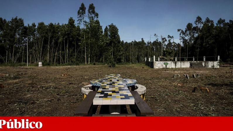 Os trabalhos de corte de árvores começaram há pouco mais de uma semana e deixaram o Buçaquinho irreconhecível