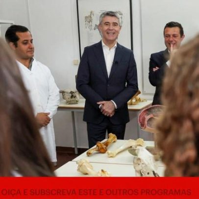 PS enfrenta incómodos com decisões dos juízes do TC