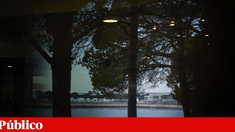 Filhos do dono do Chimarrão processam empregada por desvio de milhões
