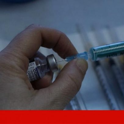 Vacina experimental protege ratinhos contra três espécies de Ebola