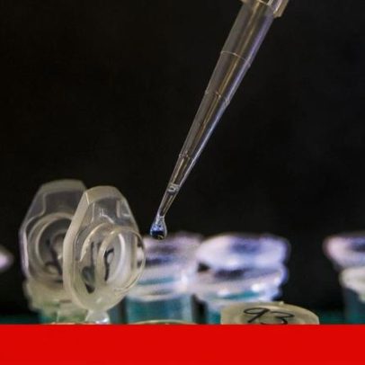 IA acelera e automatiza a descoberta científica