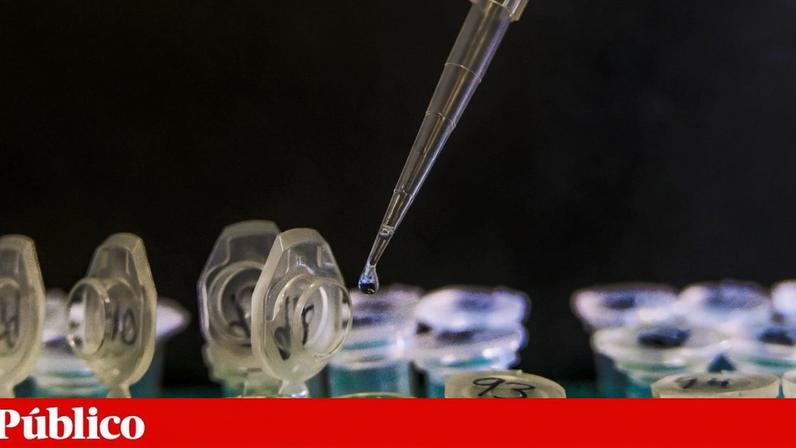 A IA está a ser utilizada para acelerar e automatizar a descoberta científica