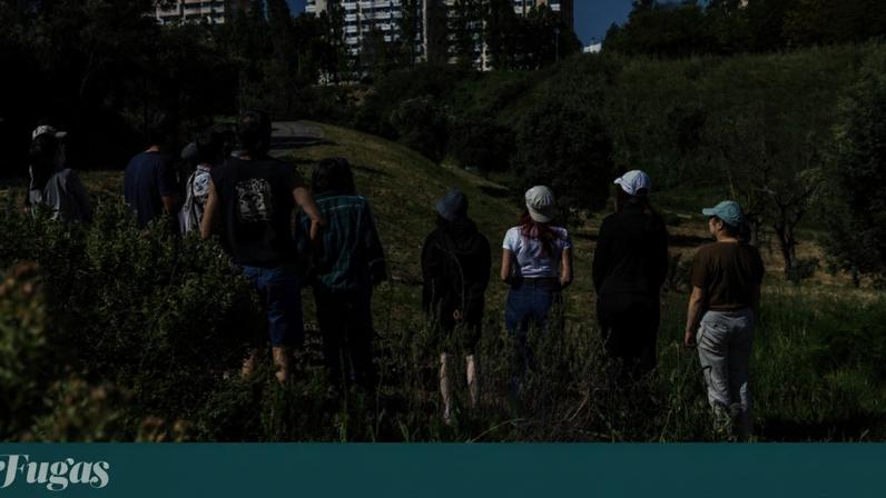 relaxar,jardins,passeios,lazer-ar-livre,lazer,fugas,